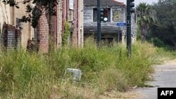 Researchers are finding natural ways to deal with unwanted weeds.