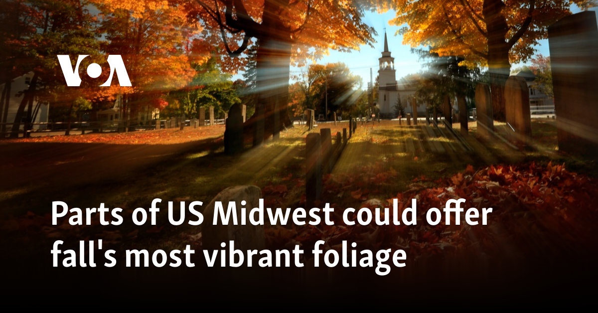 Parts of US Midwest could offer fall’s most vibrant foliage