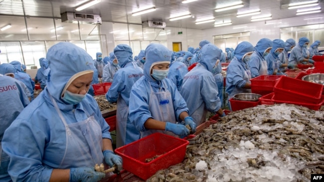 Công nhân làm việc tại một nhà máy chế biến thủy sản ở Việt Nam.