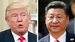 Дональд Трамп и Си Цзиньпин