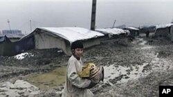 کشته شدن چهار عسکر ناتو در افغانستان
