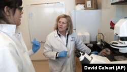 FILE - Judy Mikovits talks to a graduate student at the Whittemore Peterson Institute for Neuro-Immune Disease, in Reno, Nevada in 2011. Tech companies took down a video called Plandemic” of Mikovits promoting questionable, false and potentially dangerous coronavirus theories.