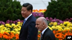 چین در تلاش گروه هماهنگی چهارجانبه برای مذاکرات صلح افغانستان شامل است