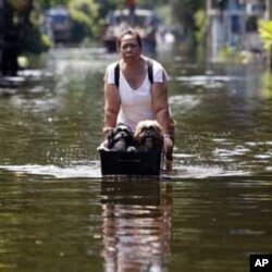 A woman pushes dogs in a makeshift container through a flooded street in Bangkok, Thailand, Oct. 28, 2011.