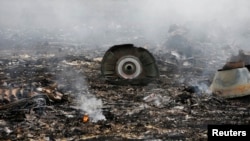 Hiện trường vụ máy bay Malaysia Airlines Boeing 777 gặp tai nạn gần khu định cư Grabovo ở vùng Donetsk, ngày 17/7/2014.