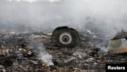 Puing-puing pesawat Malaysia Airlines MH-17 yang jatuh di Grabovo, Donetsk Ukraina timur, Kamis (17/7).