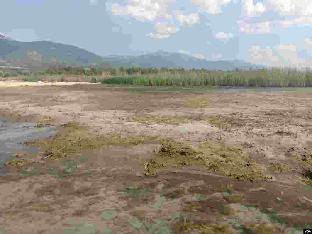 Prespa Lake low level of the water - 06