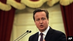 Perdana Menteri Inggris David Cameron (foto: dok).