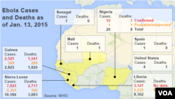 Thống kê các ca nhiễm và tử vong do Ebola tính tới ngày 13/1/2015.