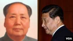 何清涟提出从“毛氏铁腕”到“毛式铁腕”，断言习近平统治时期将是“毛式铁腕＋邓的国家（权贵）资本主义”