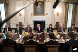 美国总统唐纳德·川普2018年1月29日在华盛顿的白宫国宴厅举行的午餐会上对联合国安理会各国代表讲话。