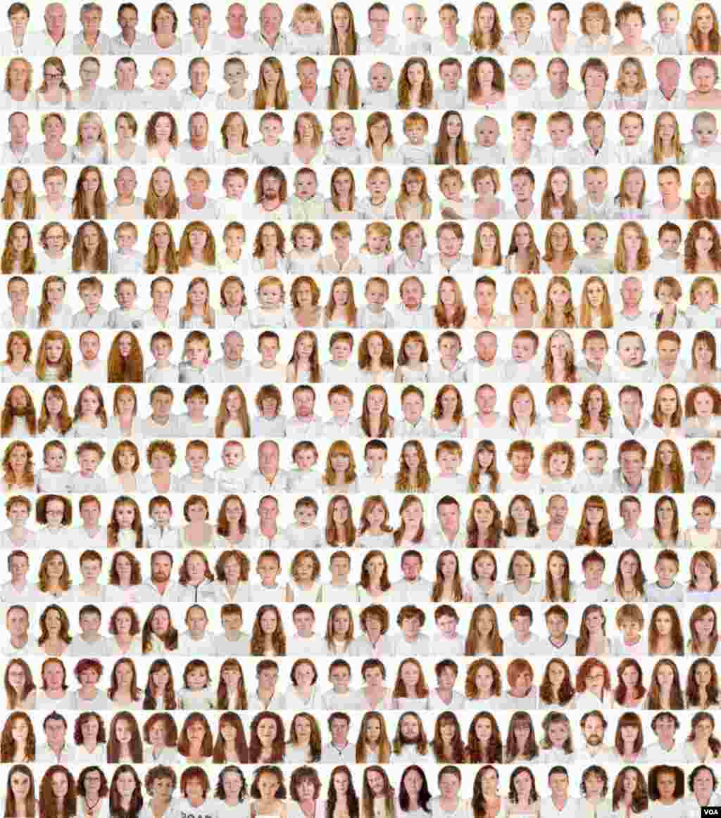 Sebanyak 500 orang berambut merah difoto oleh Pokroy dalam sebuah panel yang merupakan bagian dari pameran &quot;I Collect Gingers&quot;. (Foto: A. Pokroy) 