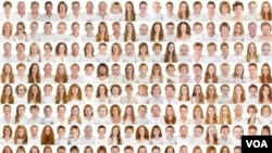 The 500 gingers photographed by Pokroy on a panel that’s part of the "I collect gingers" exhibition. (A. Pokroy) 