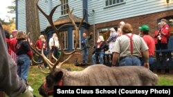 Every Santa needs to be comfortable around reindeer.