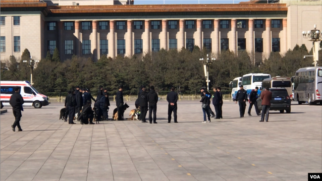 2019年3月15日，北京两会安保人员携警犬在人民大会堂前集合（美国之音叶兵拍摄）