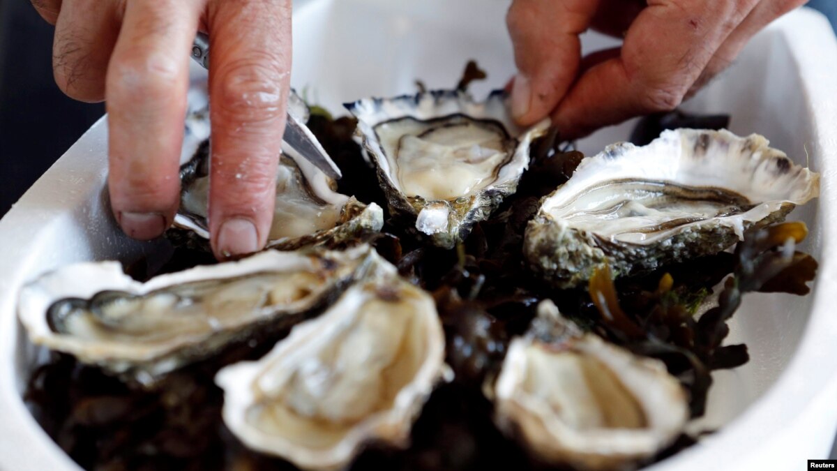 French Oysters Go on Sale in Vending Machines