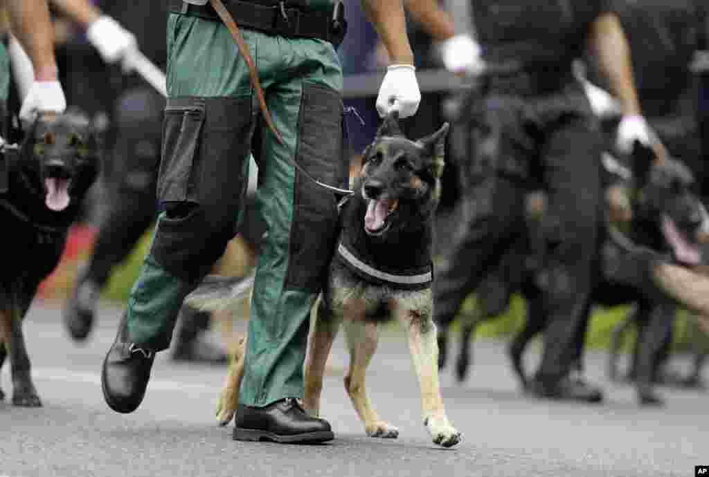 La Guardia Nacional de la República también incluyó sus perros en el desfile militar de Lisboa.