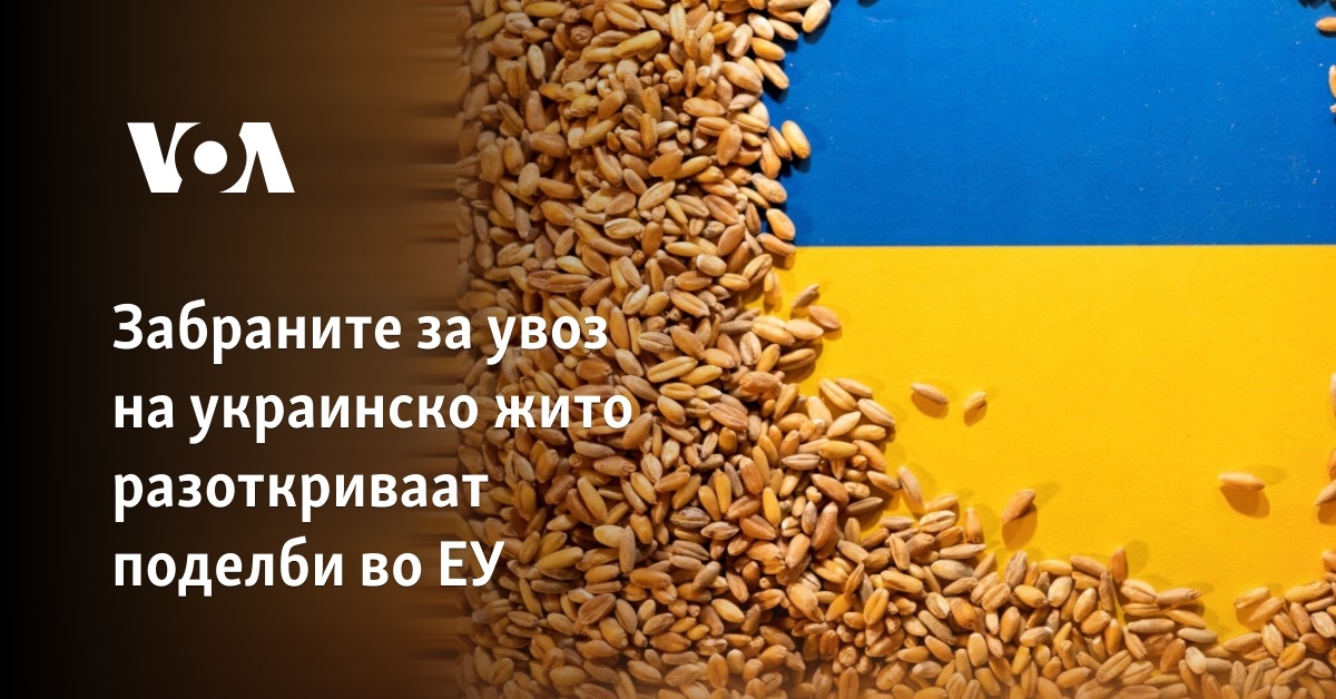 Забраните за увоз на украинско жито разоткриваат поделби во ЕУ