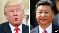 Tổng tống Mỹ Donald Trump và Chủ tịch Trung Quốc có cuộc điện đàm kéo dài hôm 9/2.