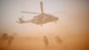 Malian, French, Troops Kill 30 Insurgents in Gun Battle