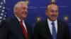 Tillerson Underscores Importance of Turkey in IS Fight