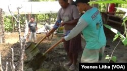 Petani Poso belajar pupuk organik (Foto: VOA/Yoanes Litha)