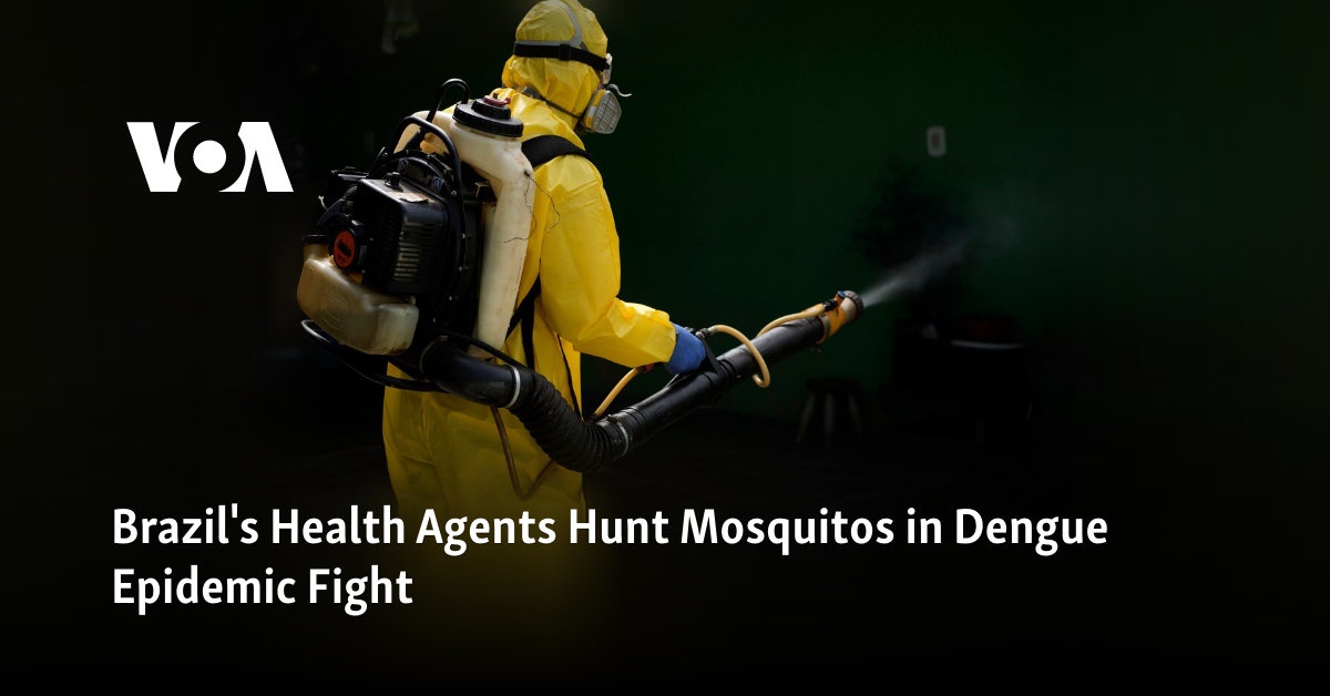 Brazilian health officials hunt mosquitoes in fight against dengue outbreak