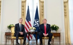 Donald Tramp və Yens Stoltenberq