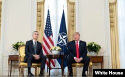 Donald Tramp və Yens Stoltenberq