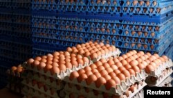 FILE - Eggs are packed to be sold at a poultry farm in Wortel near Antwerp, Belgium August 8, 2017. Norway's Olympic Team recently received 15,000 eggs by mistake.