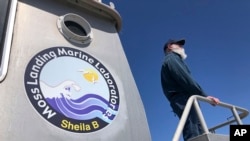 Scott Benson, an ecologist and leatherback turtle expert with the National Oceanic and Atmospheric Administration Fisheries Service, based in Moss Landing looks out over the water from his research boat in Monterey, Calif., on March 25, 2021. (AP Photo/Ha