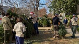 The U.S Capitol is visible in the background during a Christmas tree sale in Washington, D.C.'s Capitol Hill neighborhood.
