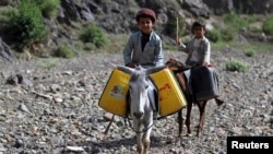 Children ride on donkeys after filling jerry cans with water on the road between Sanaa and Hodeidah, May 16, 2013.