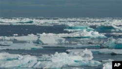 Ice covering the ocean surface at lower Baffin Island, area around Hudson Strait and the Labrador Sea (2008 file photo)