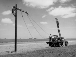 The Rural Electrification Administration (REA) erects telephone lines in rural areas. (date unknown)