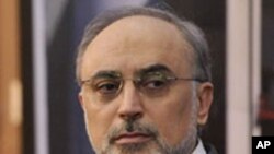 Ali Akbar Salehi, Iran's nuclear chief and interim foreign minister(file photo)