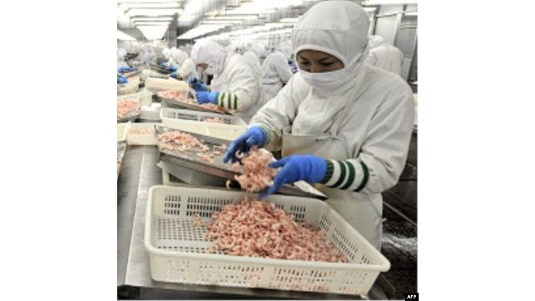 Xitoyning Shandong viloyatidagi dengiz mahsulotlari fabrikasi