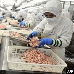Xitoyning Shandong viloyatidagi dengiz mahsulotlari fabrikasi