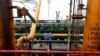 Reactivación de refinería de PDVSA atentaría contra el medio ambiente