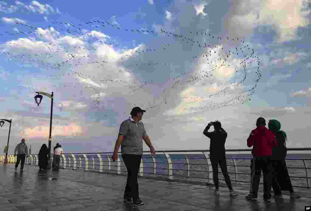 A man takes a photo of migrating birds flying along the Mediterranean Sea coast, in Beirut, Lebanon.