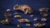 New S. Africa Fossil Discoveries Could Shift Evolutionary Theories