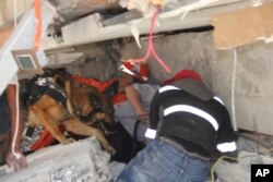 FILE - Rescue workers and a trained dog search for children trapped inside the collapsed Enrique Rebsamen school in Mexico City, Sept. 19, 2017.