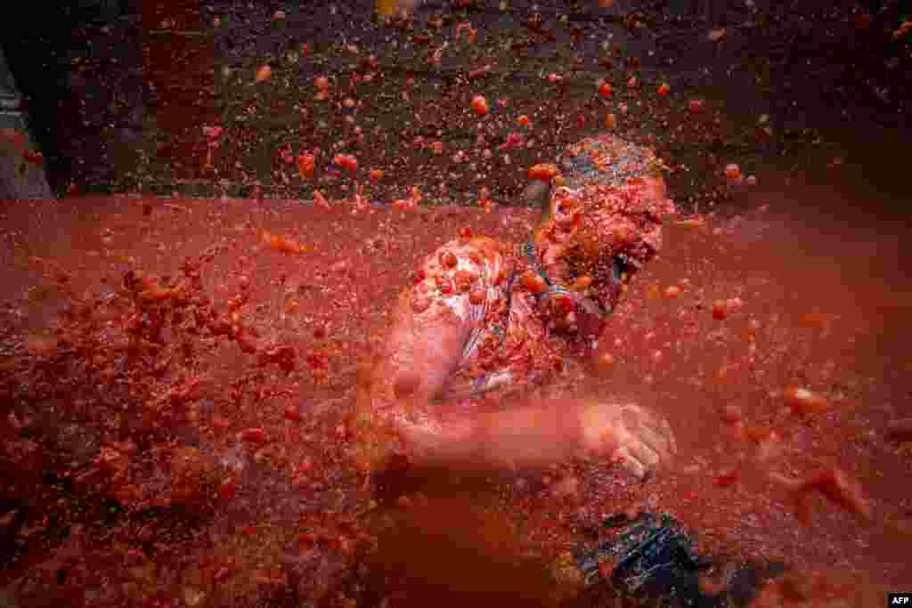 A reveler gets tomatoes thrown at him during the annual &quot;tomatina&quot; festivities in the village of Bunol, near Valencia, Spain.