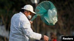 Petugas taman kota menangkapi burung merpati di Shanghai untuk mencegah penyebaran flu burung H7N9. 