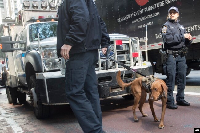 Personal de emergencia con un perro detector de bombas trabaja fuera del edificio donde está la oficina del gobernador de Nueva York, el demócrata Andrew Cuomo, después que se reportó un paquete sospechoso enviado al gobernador. Oct. 24 de 2018.