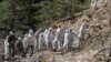 Germanwings Families Weigh Bringing Case in US