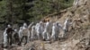 Un an après le drame de Germanwings : hommage aux victimes
