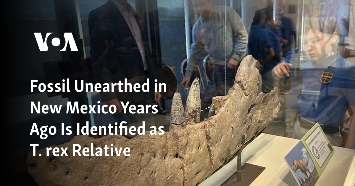 Fossil Unearthed in New Mexico Years Ago Is Identified as T. Rex Relative