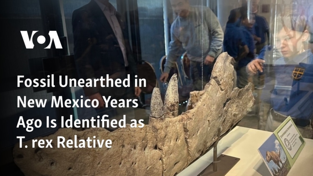 Closest relative of Tyrannosaurus rex discovered in New Mexico