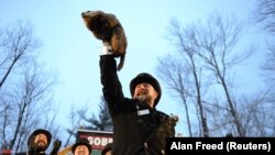 Mrmot Panksatoni Fil na ceremoniji "prognoziranja" vremena u Pensilvaniji